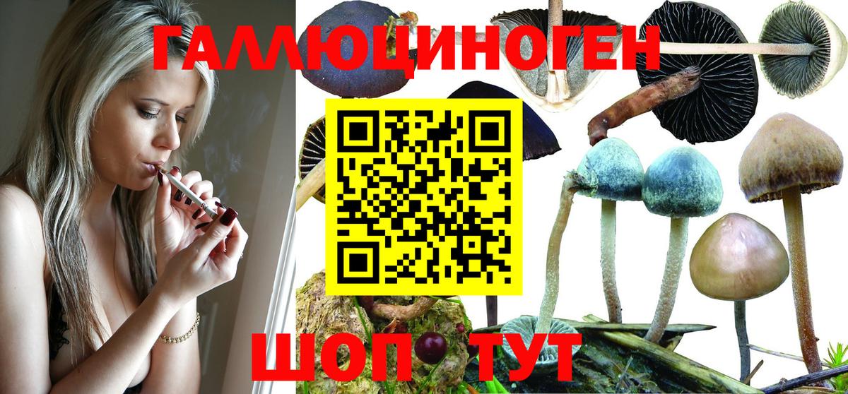Псилоцибиновые грибы ЛСД Кировск