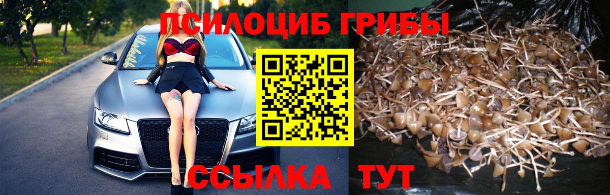 Кировск  Галлюциногенные грибы мухоморы  Вход с VPN 